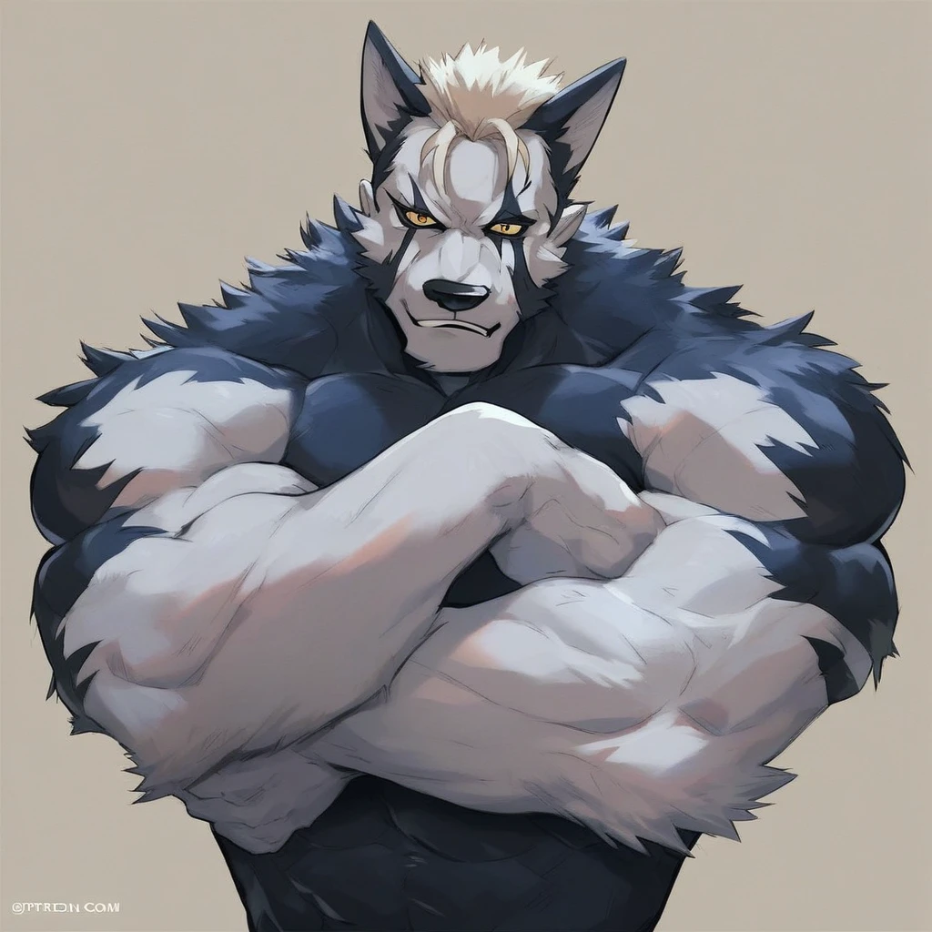 source_furry, score_9, score_8_up, score_7_up, 1boy, solo, portrait, prettycurejuna_furry, wolf, furry, anthro, muscles, muscular, bodybuilder,