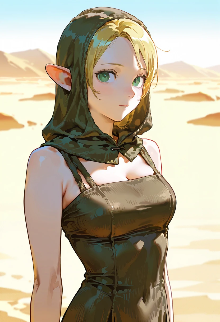 1girl,solo,looking at viewer,ikeda ruriko, desert,ehm dress, hood,sleeveless, marcille_donato