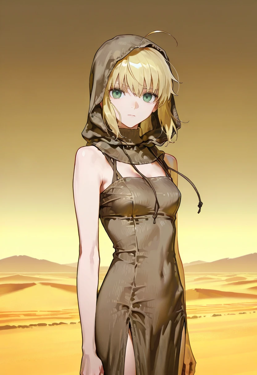 1girl,solo,looking at viewer,ikeda ruriko, desert,ehm dress, hood,sleeveless, saber_(fate),