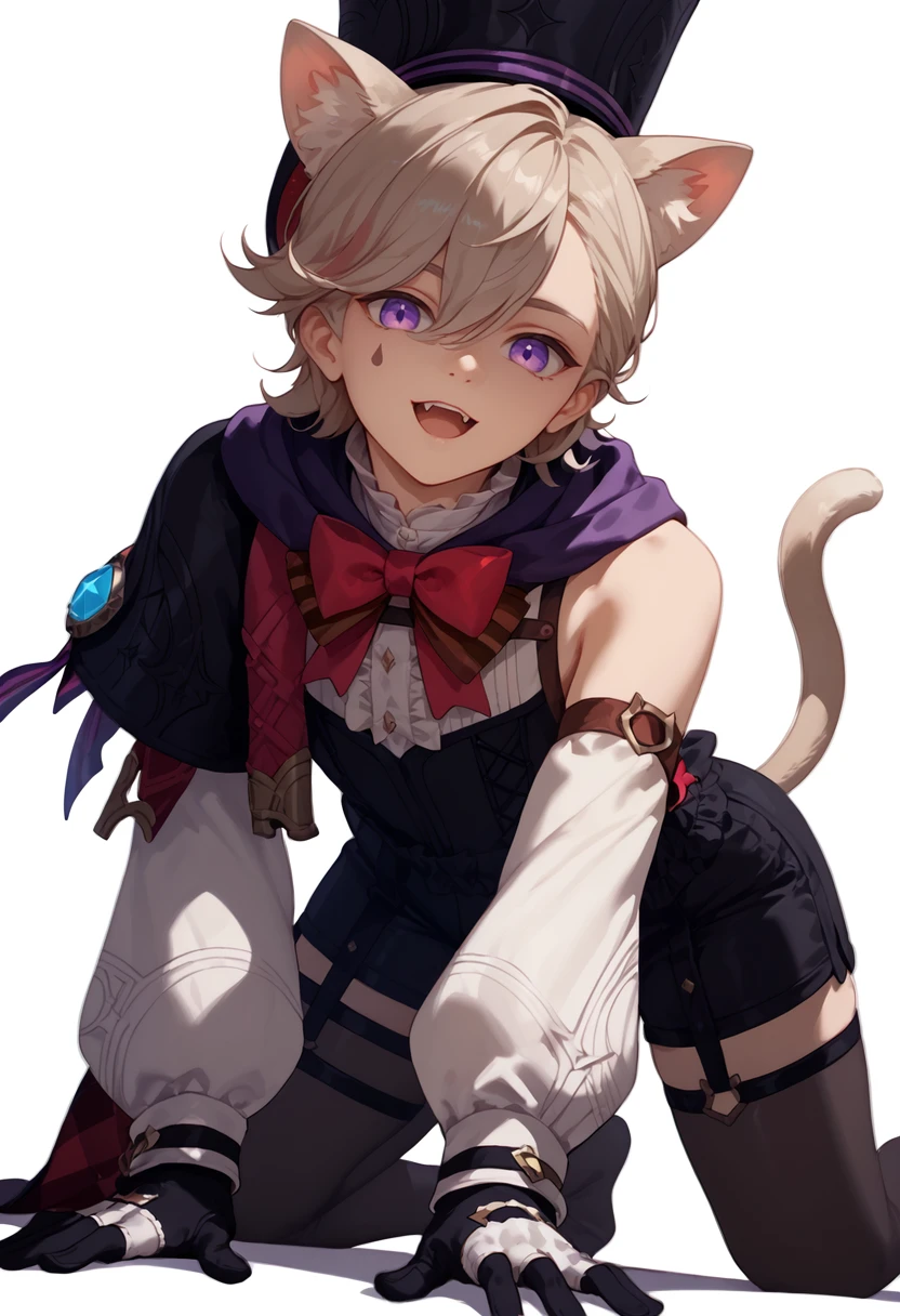 score_9, score_8_up, score_7_up, score_6_up, score_5_up, score_4_up, masterpiece, ultra-detailed, high resolution,

lyney, 1boy, male focus, tail, animal ears, hat, bow, gloves, cat tail, purple eyes, cat ears, solo, cat boy, thighhighs, black gloves, otoko no ko, fang,  top hat, looking at viewer, tail ornament, open mouth, shorts, bowtie, all fours, red bow