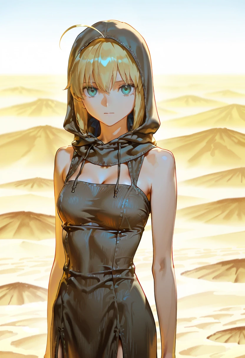 1girl,solo,looking at viewer,ikeda ruriko, desert,ehm dress, hood,sleeveless, saber_(fate),