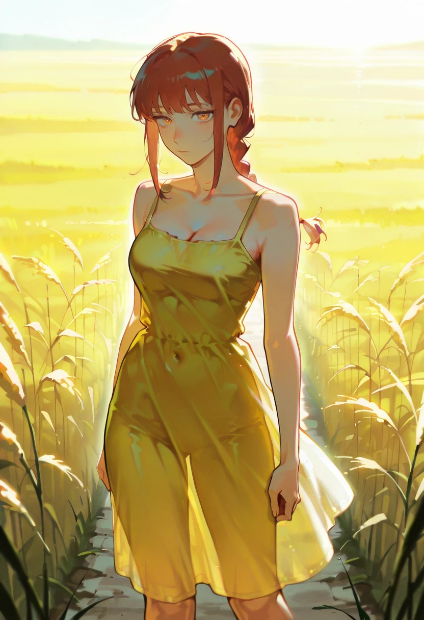 1girl,solo,looking at viewer, echo (circa),wtsstadamit, silhouette, see-through, backlighting, sundress, yellow dress, sunlight,standing, field, makima_(chainsaw_man),tall grass,