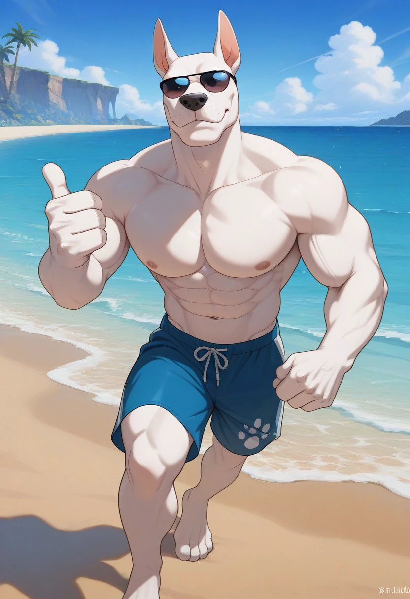 best quality, masterpiece, amazing quality, very aesthetic, absurdres, screencap, 1boy, solo male, male focus, dog, pitbull, white fur, muscular male, swimming trunks, looking at viewer, action pose, sunglasses, thumbs up, outdoors, beach