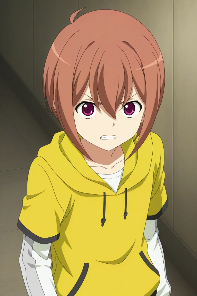 score_9, score_8_up, score_7_up, score_6_up, score_5_up,score_4_up,
masterpiece, best quality, amazing quality, very aesthetic, absurdres, newest, official art, high resolution
asukawa taiyou, brown hair, purple eyes, yellow hoodie, white shirt, 1boy, short over long sleeves, solo, hoodie, hood, anime coloring, short hair, clenched teeth, teeth, male focus, collarbone