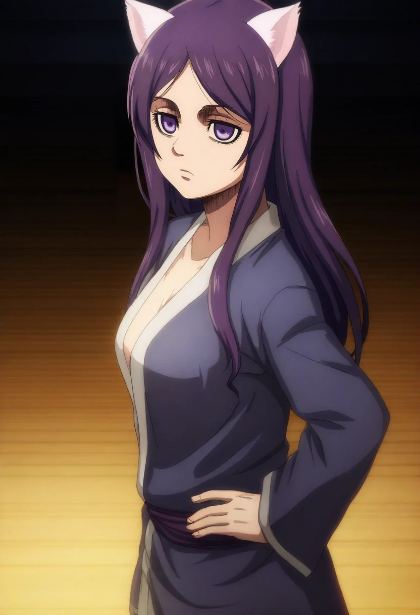 masterpiece, best quality, anime screencap, , , , 1girl, rem \(how not to summon a demon lord\), purple hair, purple eyes, long hair, cat ears, solo, close-up, dojo, dark, hand on hip, expressionless, <lora:shingeki_no_kyojin_s4_style_ilxl:0.84>, shingeki_no_kyojin_s4_style,