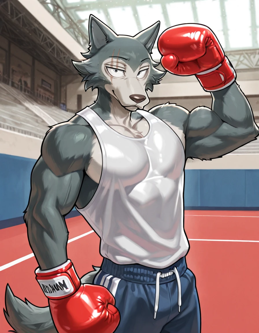 IllustriousQual, masterpiece, <lora:Legoshi_Illustrious:1> l3gosh1, beastars, furry male, 1boy, male focus, solo, wolf boy, muscular male, athletic, large pectorals, looking at viewer, cowboy shot, posing, flexing, gym background, boxing gloves,