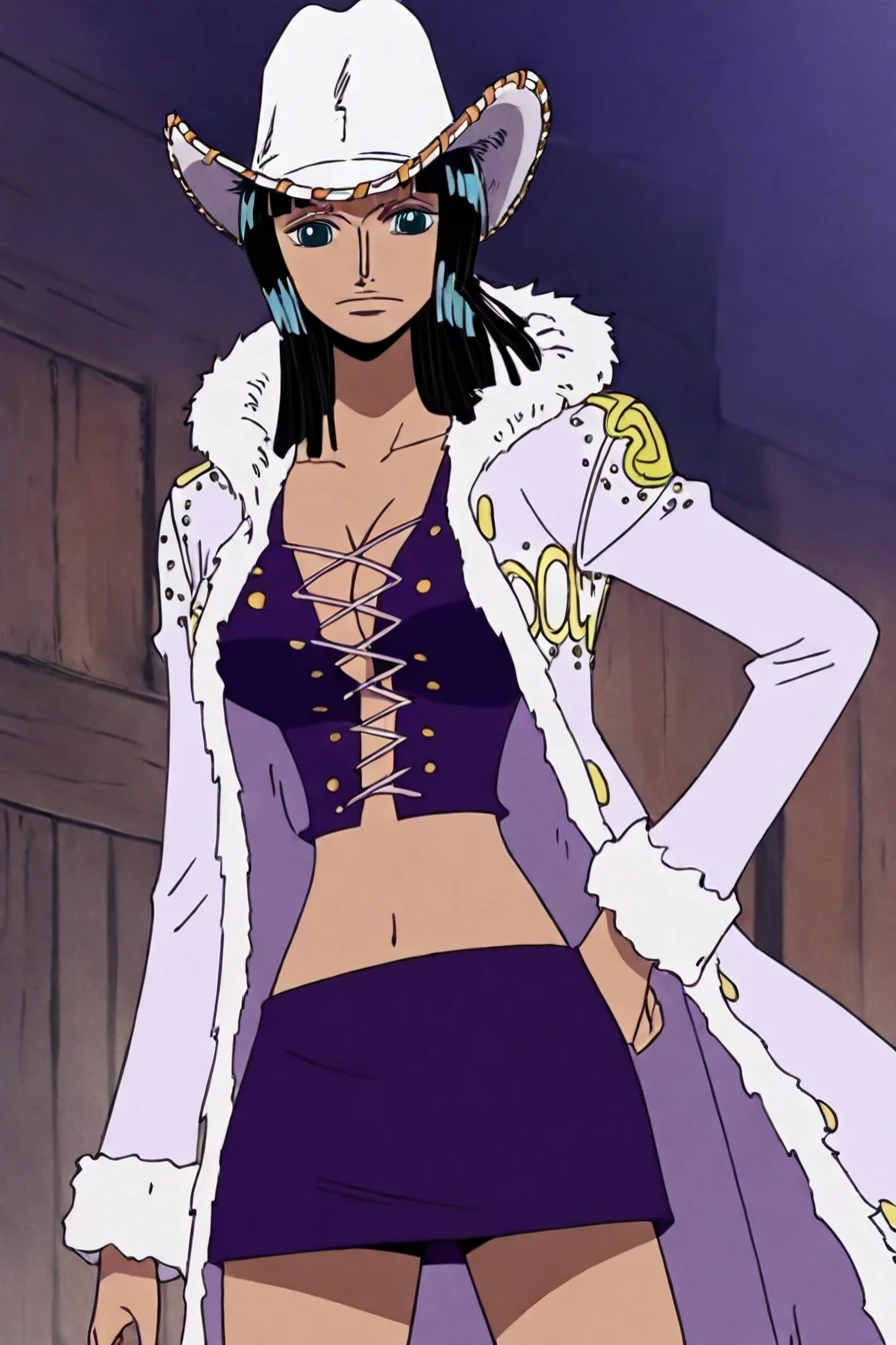Nico Robin (One piece) pre-timeskip many outfit illustriousXL V1