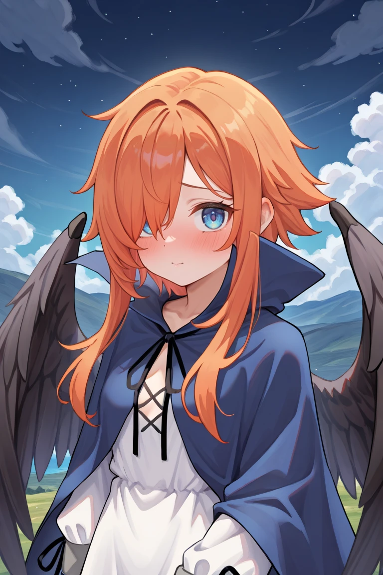 masterpiece, very aesthetic, absurdres, best quality, amazing quality, high resolution, <lora:illustrious_quality_modifiers_masterpieces_v1:0.8> , <lora:ChamIllustriousBackgroundEnhancer:0.5>, solo, <lora:No._367IL:0.8> , thrdef, 1girl, orange hair, long hair, medium hair with long locks, (hair over one eye), blue eyes, wings, black wings, feathered wings, dress, white dress, short dress, blue cloak, popped collar, neck ribbon, black ribbon, center opening, long sleeves, ((face, portrait)), exterior, clouds, night, shy, blush, looking at viewer,