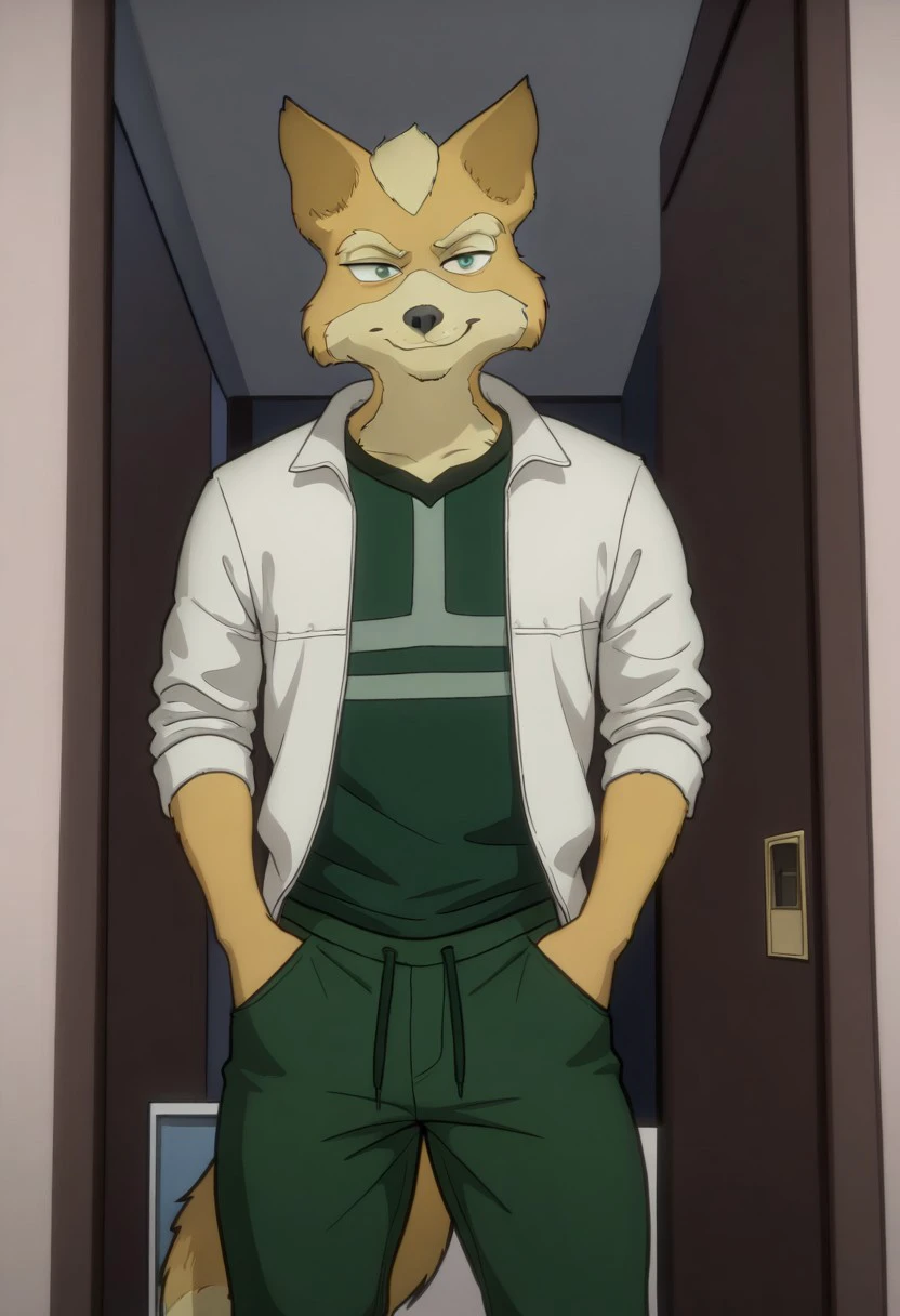 Masterpiece, best quality, high quality, detailed, male, solo male, 1boy, Fox McCloud, anthro, fox, mature male, animal ears, tan yellow fur, thick eyebrows, green eyes, athletic build, wide hips, thick thighs, indoors, looking at viewer, standing, hands in pants pockets, smiling, green shirt, white jacket, green pants, half body