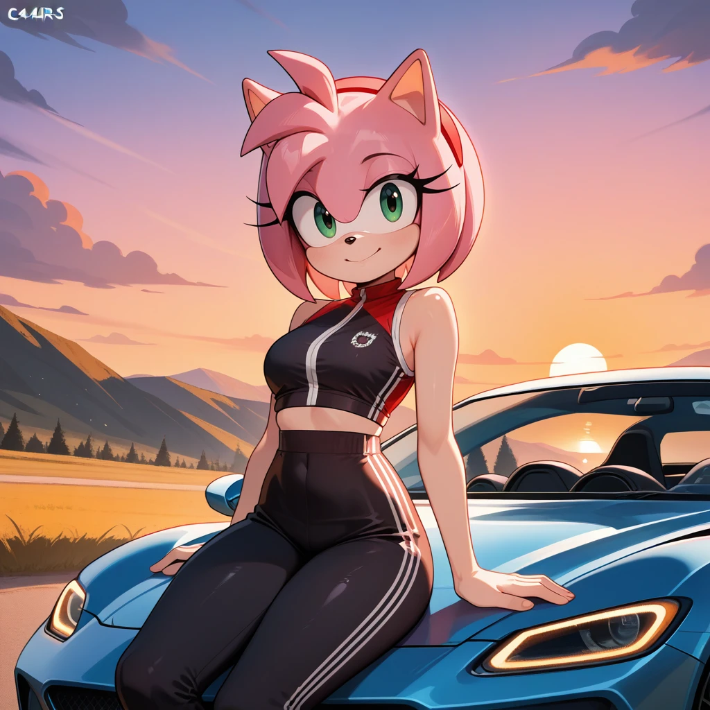 <lora:Sitting_On_Car:0.8> c4rs1t, motor vehicle, ground vehicle, sports car, sitting, cowboy shot, 1girl, outdoors, sunset, looking at viewer, smile,  amy_rose        , masterpiece, best quality, good quality, newest