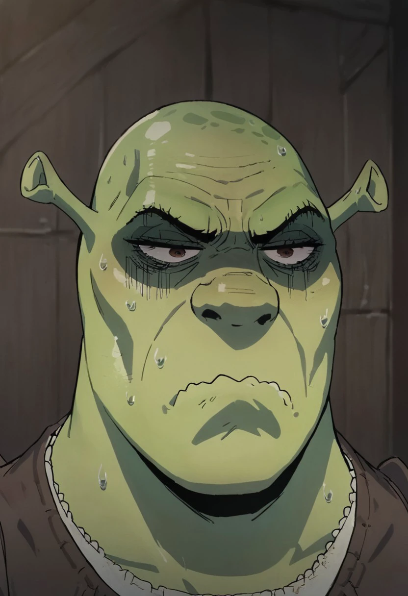 score_9, score_8_up, score_7_up, 1 boy Yorbutthurtface, angry, annoyed, expressive, exxagerated exxpresion, frown, shaded face, wavy mouth, sweating profusuely, shrek, green skin