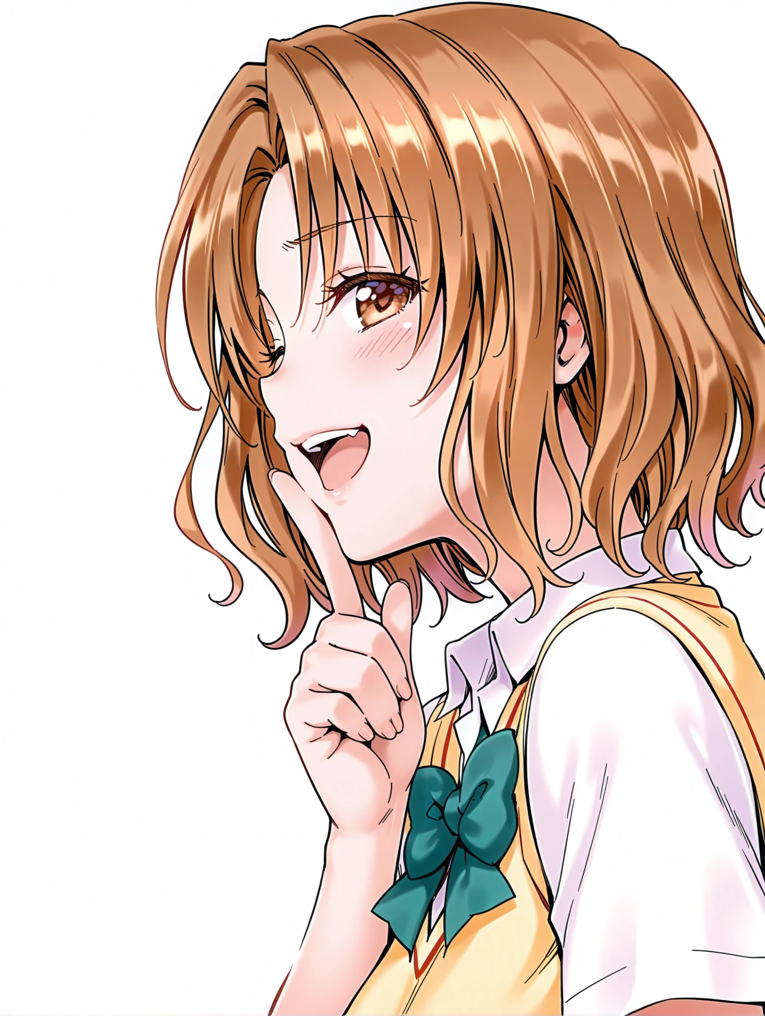 masterpiece,best quality,amazing quality,1girl,solo,
<lora:risa_ilxl_v1>,momioka,brown hair,brown eyes,
m_clothes,short sleeve blouse,school uniform,bowtie,sweater vest,
<lora:Fixhands_anime_bdsqlsz_V1:1>,looking_at_viewer,upper_body,face_focus,dynamic_angle,cinematic_angle,finger to own chin,laughing,light_blush,one eye closed,white_background,simple_background,profile,