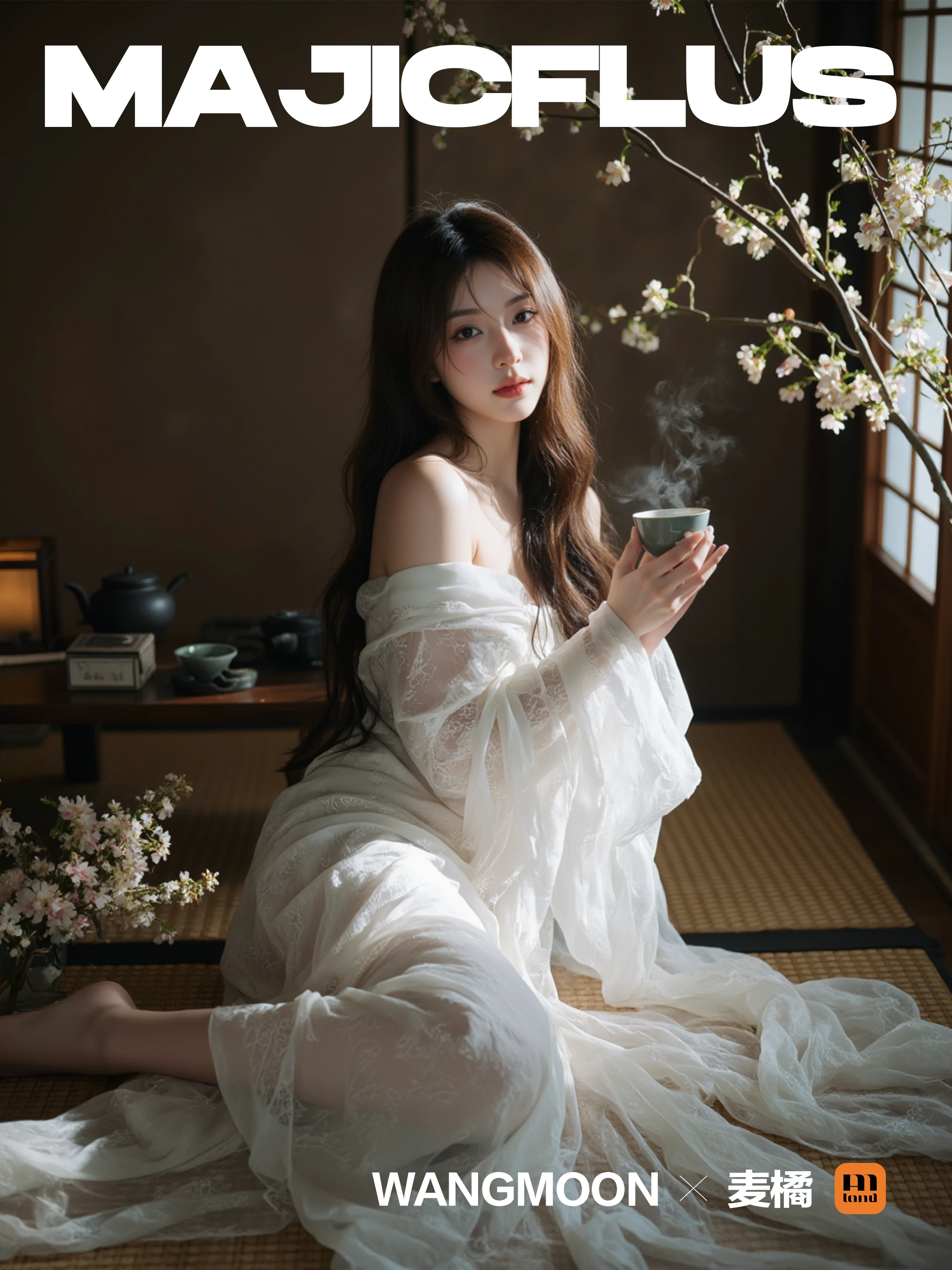 MAJICFLUS-麦橘光影约拍 v1.0