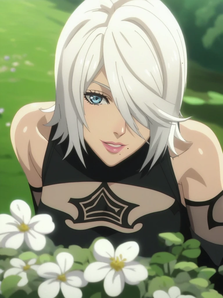 A2 [Nier Automata] v1.0