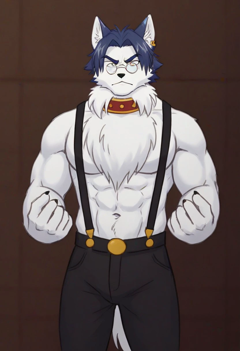 Alaskan Malamute dog black and white fur, muscular, with chest straps, furry, Blindfolded , shorts negros , with dog collar and leash, with big pecs