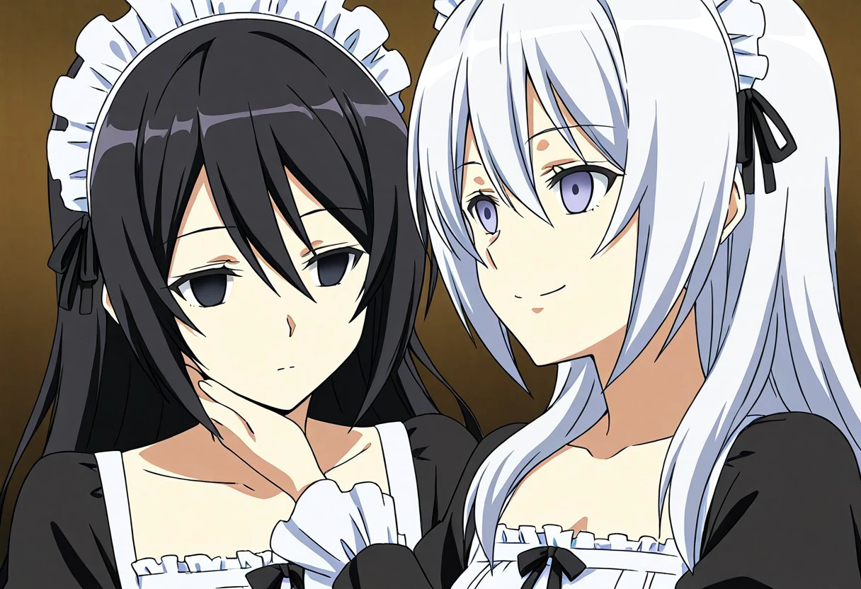 anime, two girls, adult, empty eyes, hypnotized, expressionless, blank expression, long hair, white hair, black hair, twins, looking at each other, staring into eyes, maid outfit, sexy smile
