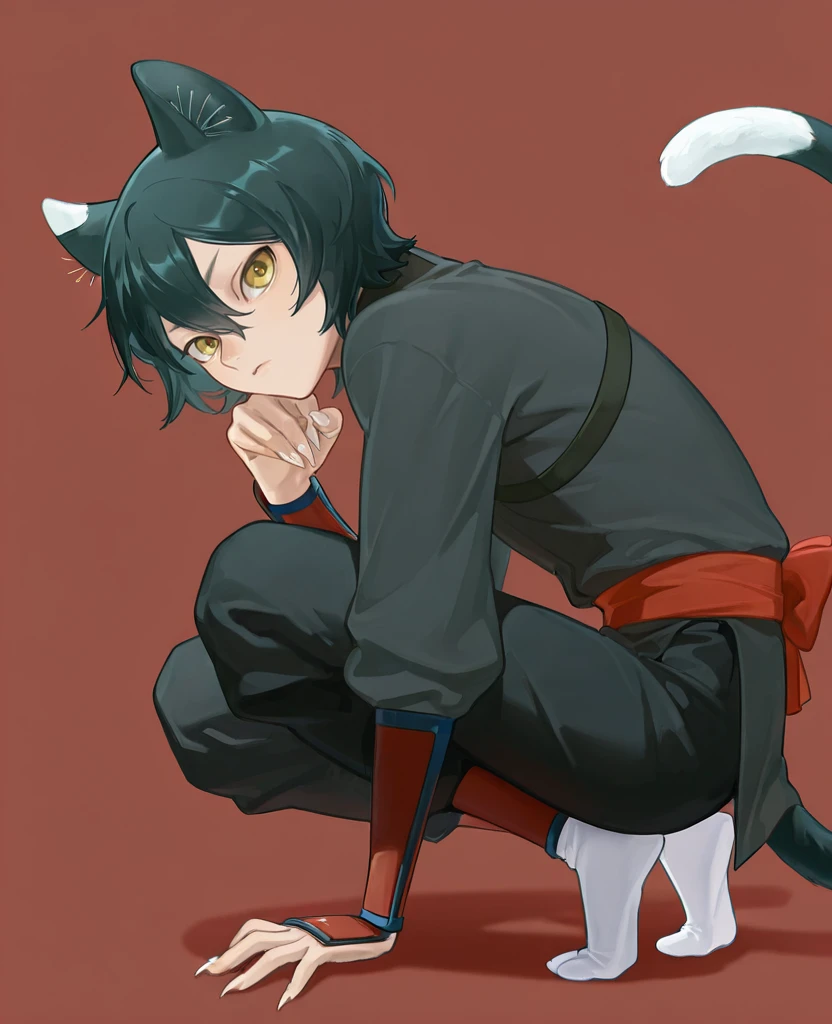 <lora:Izutsumi_Danjon_Meshi_Illustrious:1> Izutsumi, solo, looking at viewer, short hair, simple background, black hair, long sleeves, 1girl, animal ears, hair between eyes, closed mouth, tail, full body, yellow eyes, socks, pants, cat ears, fingernails, cat tail, sash, shadow, black pants, no shoes, squatting, cat girl, kemonomimi mode, sharp fingernails, tiptoes, arm guards, pants tucked in, general