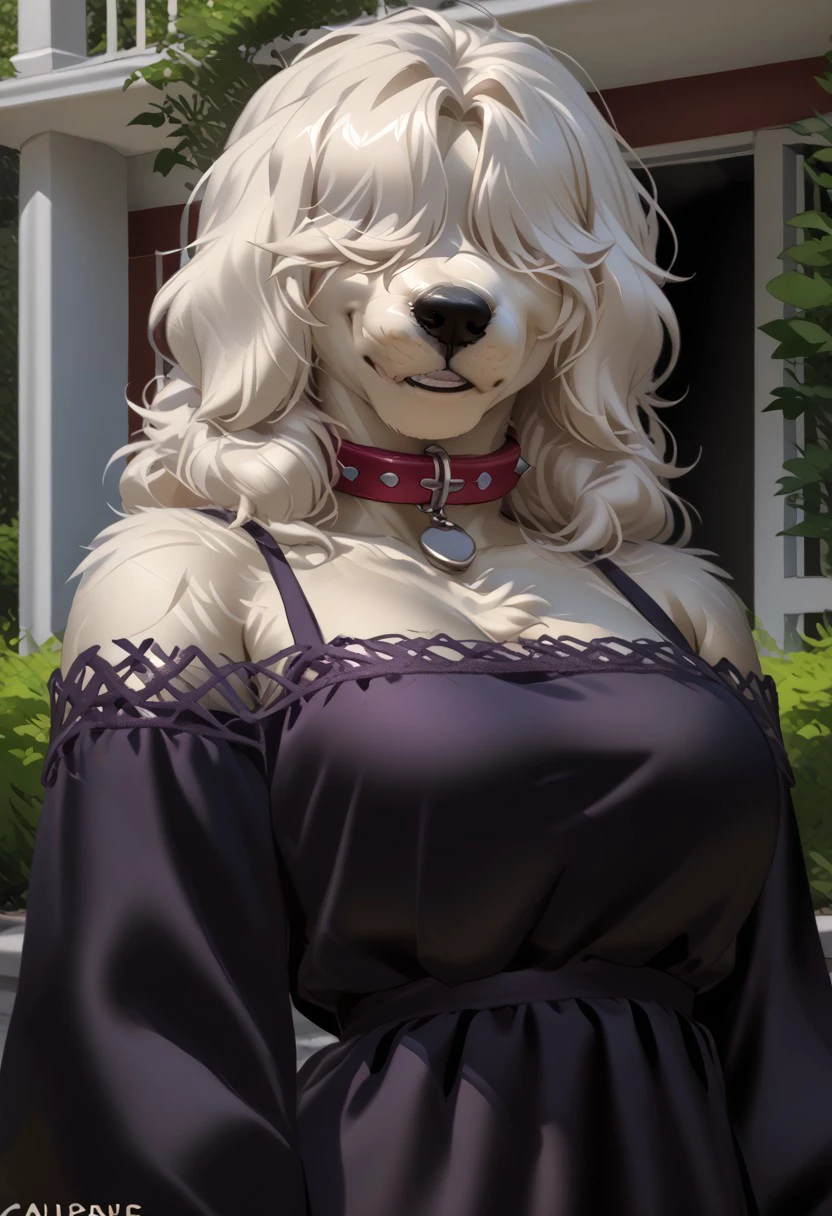 score_9, score_8_up, score_7_up, (by jailbird:1.5), (by kittydee:1.5), (by zummeng:1.5), masterpiece, best quality, (Furry Art : Anthro : Old English Sheepdog :1.5), expressive eyes, feminine eyes, <lora:beautiful_detailed_eyes:1>, perfect face, feminine face, feminine body, long fluffy fur, two-toned fur, white fur, grey fur, grey droopy dog ears, (white hair:1), shoulder length hair, (shaggy hair), (shaggy hair bangs:1),(hair bangs over eyes:1.5), large breasts, red dog collar, (casual wear dress:1.5),