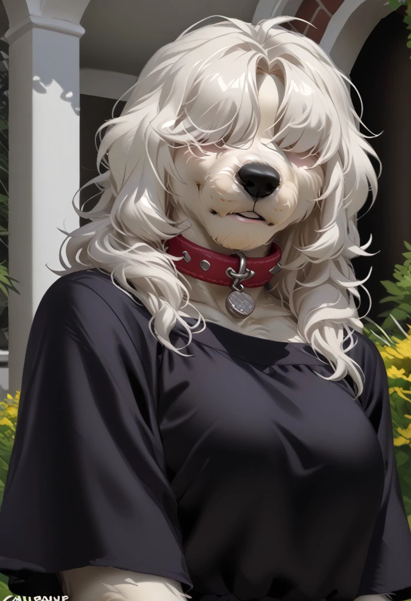 score_9, score_8_up, score_7_up, (by jailbird:1.5), (by kittydee:1.5), (by zummeng:1.5), masterpiece, best quality, (Furry Art : Anthro : Old English Sheepdog :1.5), expressive eyes, feminine eyes, <lora:beautiful_detailed_eyes:1>, perfect face, feminine face, feminine body, long fluffy fur, two-toned fur, white fur, grey fur, grey droopy dog ears, (white hair:1), shoulder length hair, (shaggy hair), (shaggy hair bangs:1),(hair bangs over eyes:1.5), large breasts, red dog collar, (casual wear dress:1.5),