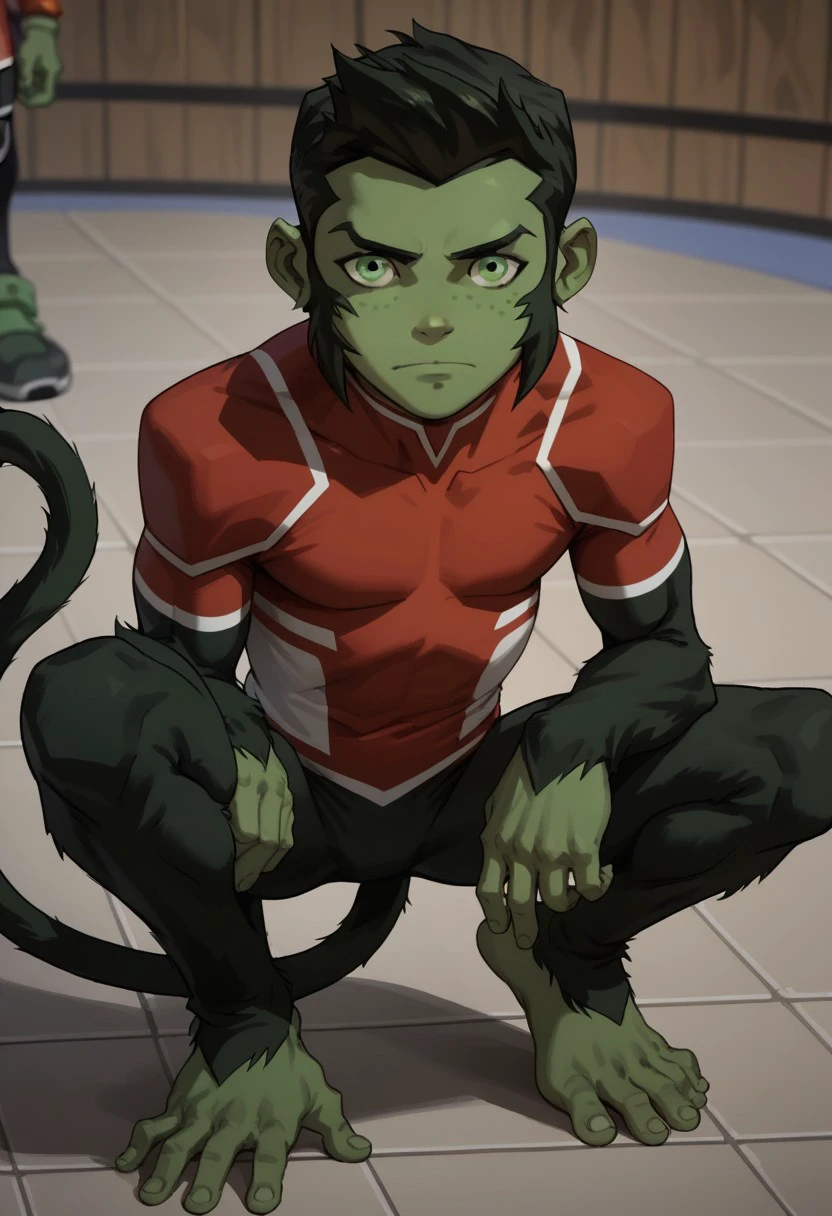 Beast Boy Young Justice (S2) V1
