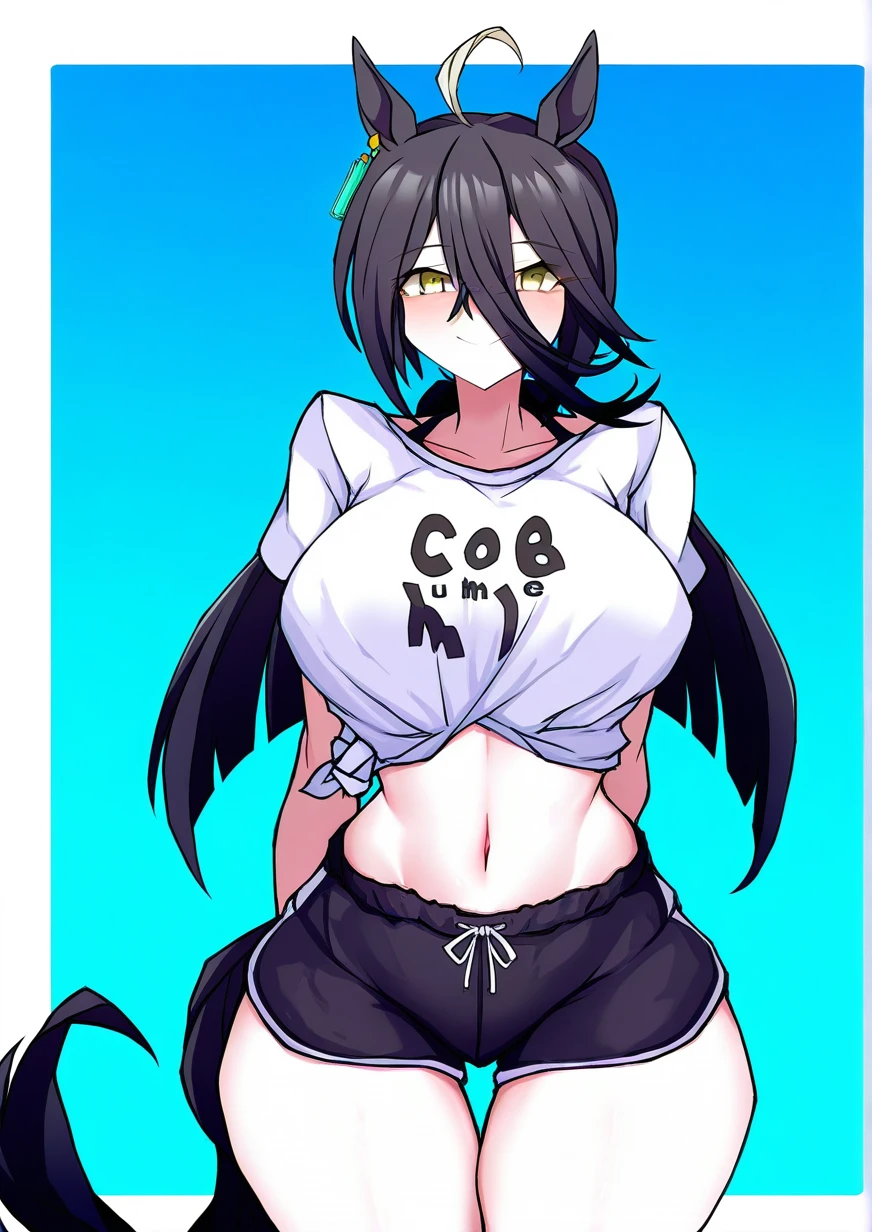 LDZ-626 style (pony+illustrious) V1