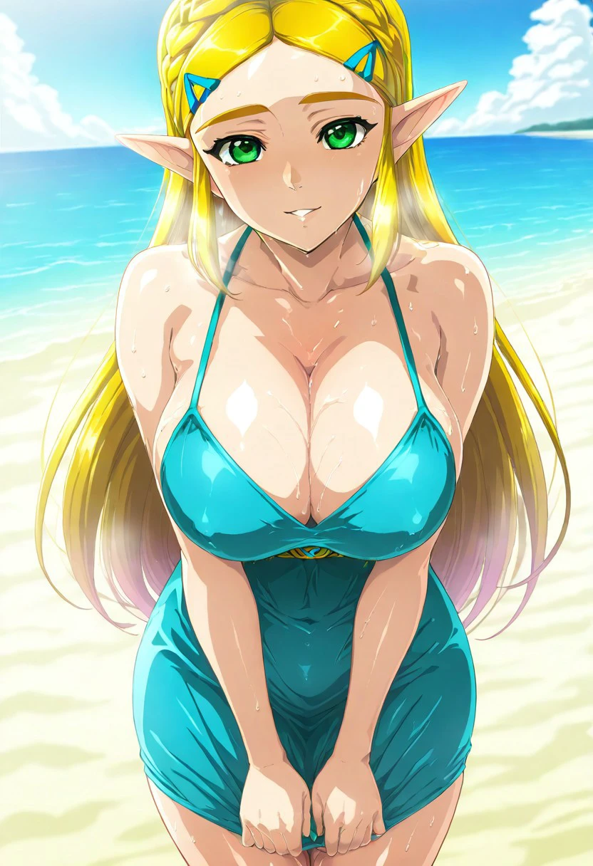Princess zelda/ゼルダ姫(ゼルダの伝説 ブレスオブザワイルド) V1