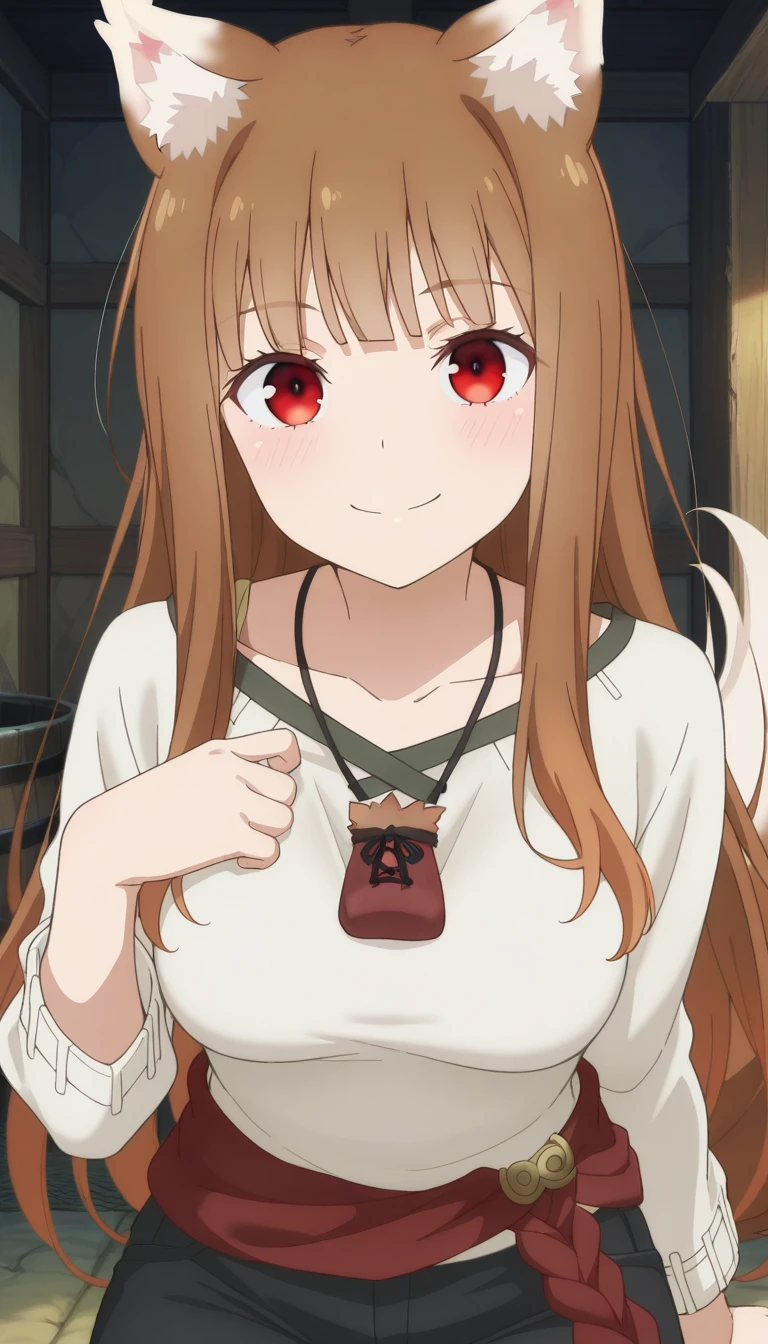 (masterpiece),best quality,amazing quality,very aesthetic,absurdres,newest,perfect body,shiny skin,perfect eyes,detail1eye,well-defined fingers,well-defined fingernails,anime style,indoors,1girl,solo,upper body,(portrait:1.5),looking at viewer,facing viewer,smile,blush,Holo,wolf girl,animal ears,animal ear fluff,wolf ears,very long hair,shiny hair,brown hair,sidelocks,blunt bangs,red eyes,collarbone,pouch,white sweater,long sleeves,red sash,medium breasts,black pants,wolf tail,black footwear,<lora:Holo(otkmmtww)-Illus:1.6>,