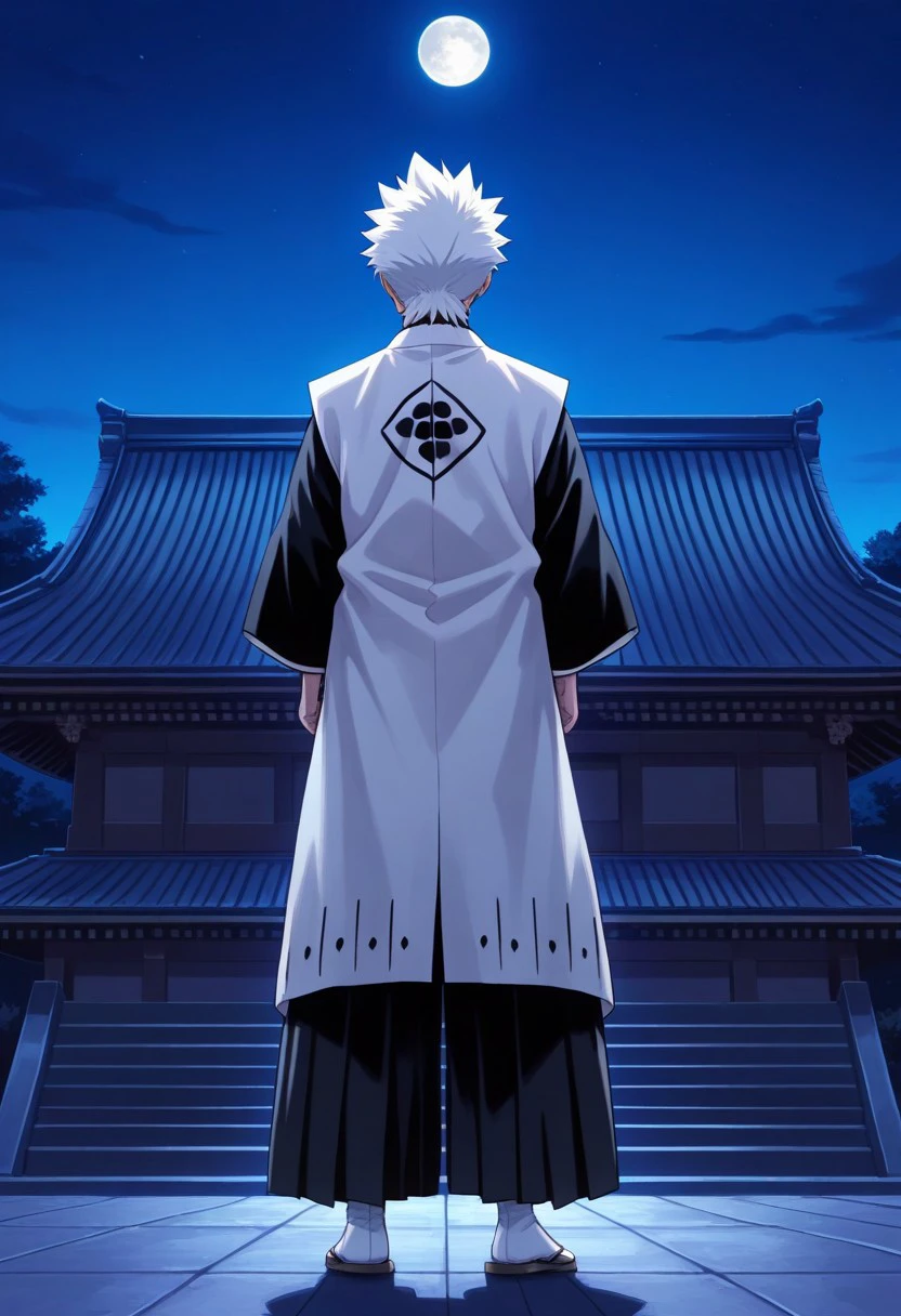 masterpiece, best quality,
toshihtsu, 1boy, male focus, solo, blue eyes, white hair, short hair, spiked hair, single bang, japanese clothes, kimono, black kimono, long sleeves, wide sleeves, hakama pants, black pants, haori, white haori, tabi, sandals, from back, standing, roof, temple, japan, night, moon,
outdoor