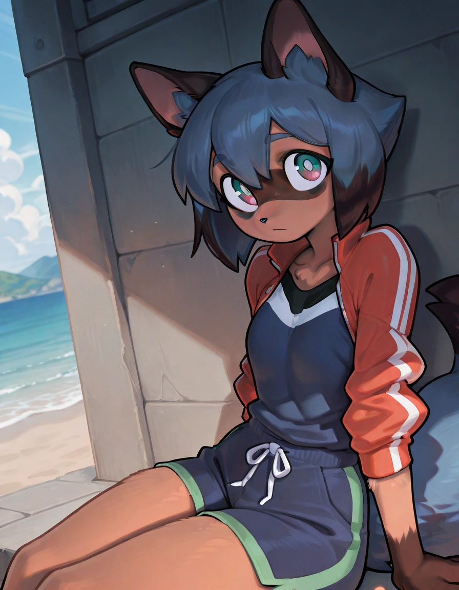Preview 3