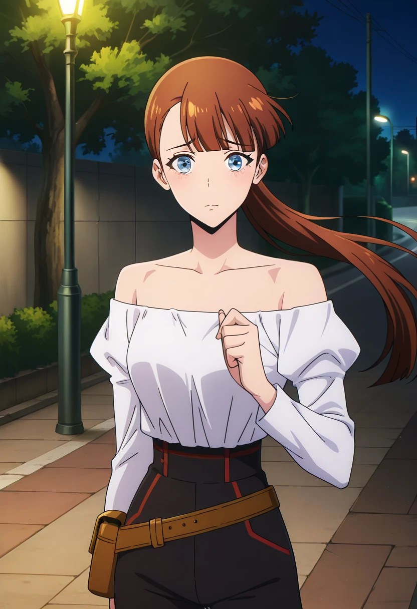 anime screencap, masterpiece, best quality,
<lora:SoloLeveling_LeeJoohee_IlluXL:0.9>,
1girl, solo, closed mouth, worried,
asymmetrical bangs, brown hair, long hair, blue eyes, blunt bangs, ponytail, floating hair,
JooHeeFight, off-shoulder shirt, shirt tucked in, puffy long sleeves, high-waist pants, black pants, red trim, loose belt, belt pouch,
standing, looking at the viewer, cowboy shot,
outdoors, night, street, tree, lamppost