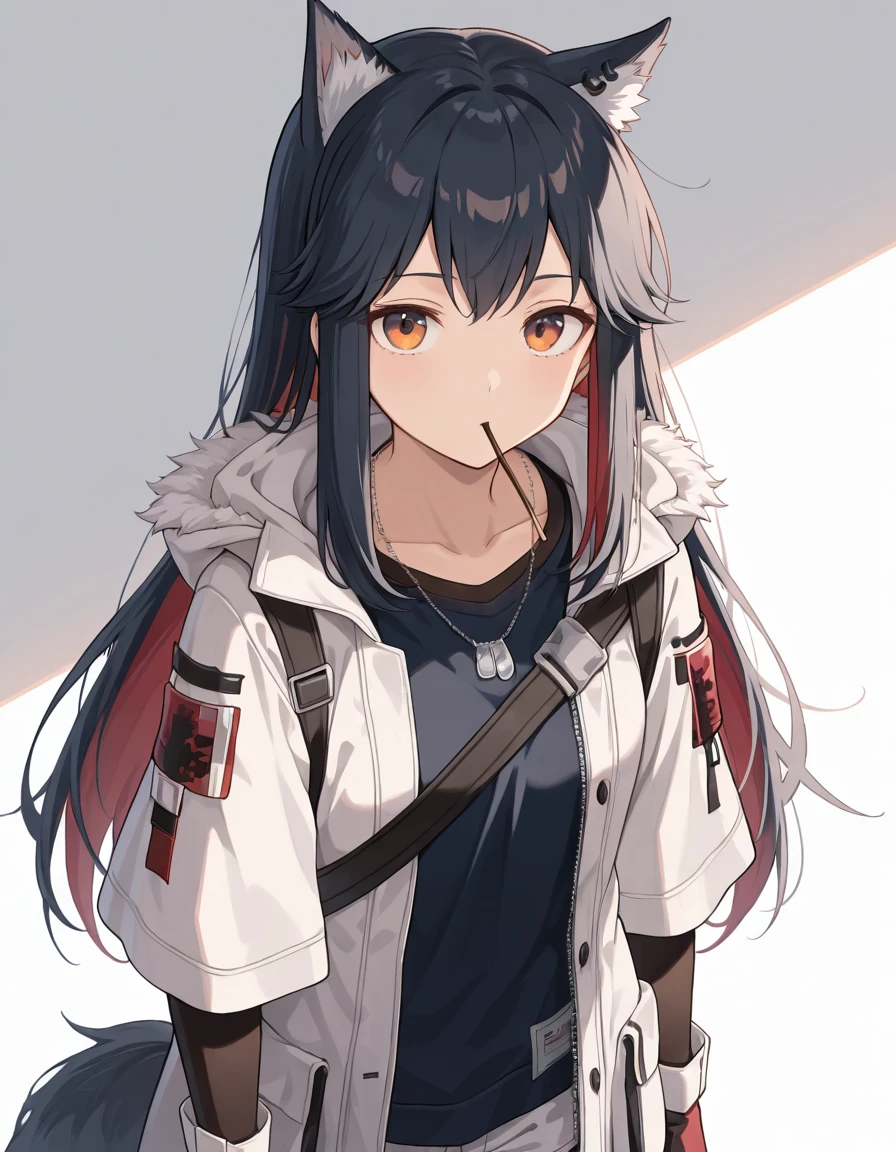 Volumetric Lighting, Volumetric Lighting, (masterpiece), (best quality), (ultra-detailed), illustration, disheveled hair, detailed eyes, perfect composition, moist skin, intricate details, very good lighting BREAK, light depth, dramatic atmospheric lighting, Volumetric Lighting, Texas, long hair, black hair, wolf ear,s wolf tail, orange eyes BREAK, wintertexas, legwear under shorts, WM shirt, hooded jacket, open jacket, WM pantyhose, red hair, WM gloves, WM shorts,white shorts, WM necklace, WM shoulder strap, fur-trimmed jacket, WM shoes, red hair, colored inner hair BREAK, ((white background)), looking at viewer, standing, upper body,mouth hold, pocky