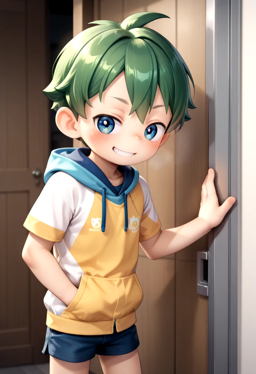 <lora:cutifiedanimecharacterdesign_variant_type_E_IL_v10:1>
type_e, blush, blue eyes,male focus, green hair, shorts, 1boy, hapy face expression, grin, hoodie, hood down, short hair