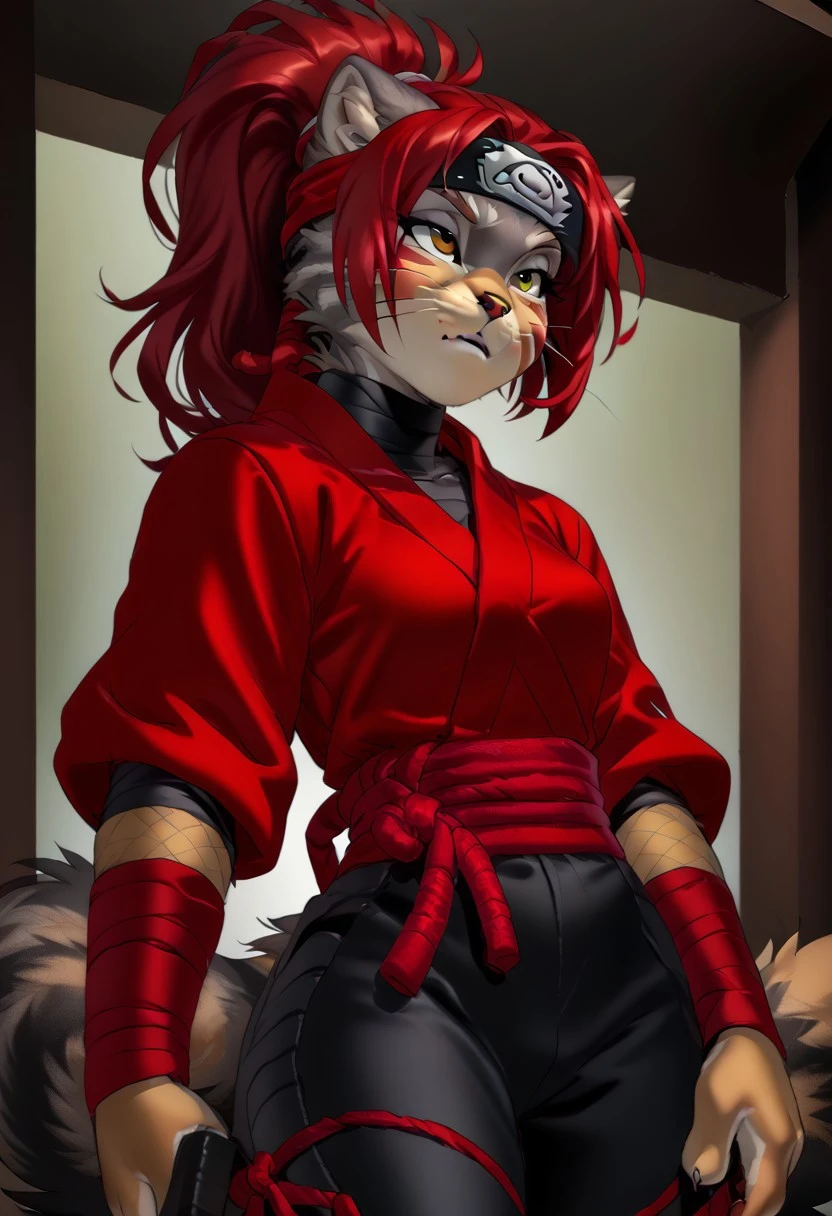 score_9, score_8_up, score_7_up, (by jailbird:1.5), (by kittydee:1.5), (by zummeng:1.5), masterpiece, best quality, (solo),
(Furry Art: anthro: Pallas's Cat:1.5), expressive eyes, feminine eyes, <lora:beautiful_detailed_eyes:1>, perfect face, cat. feline, (grey fur), light brown fur, black zigzag lines on the cheek, round cat ears, (red hair:1.5), (ponytail hair), (blunt bangs), small breasts, (ninja topwear:1.5), (ninja pants:1.5), (ninja headband),