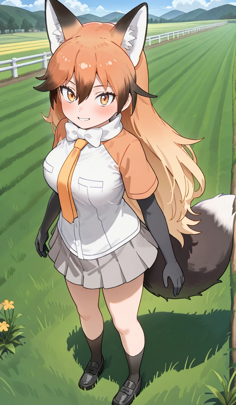 Red Fox (Kemono Friends) / アカギツネ (けものフレンズ) [Illustrious-XL] v1.0 (Illustrious)
