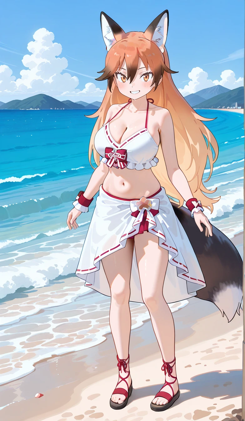 Preview 4