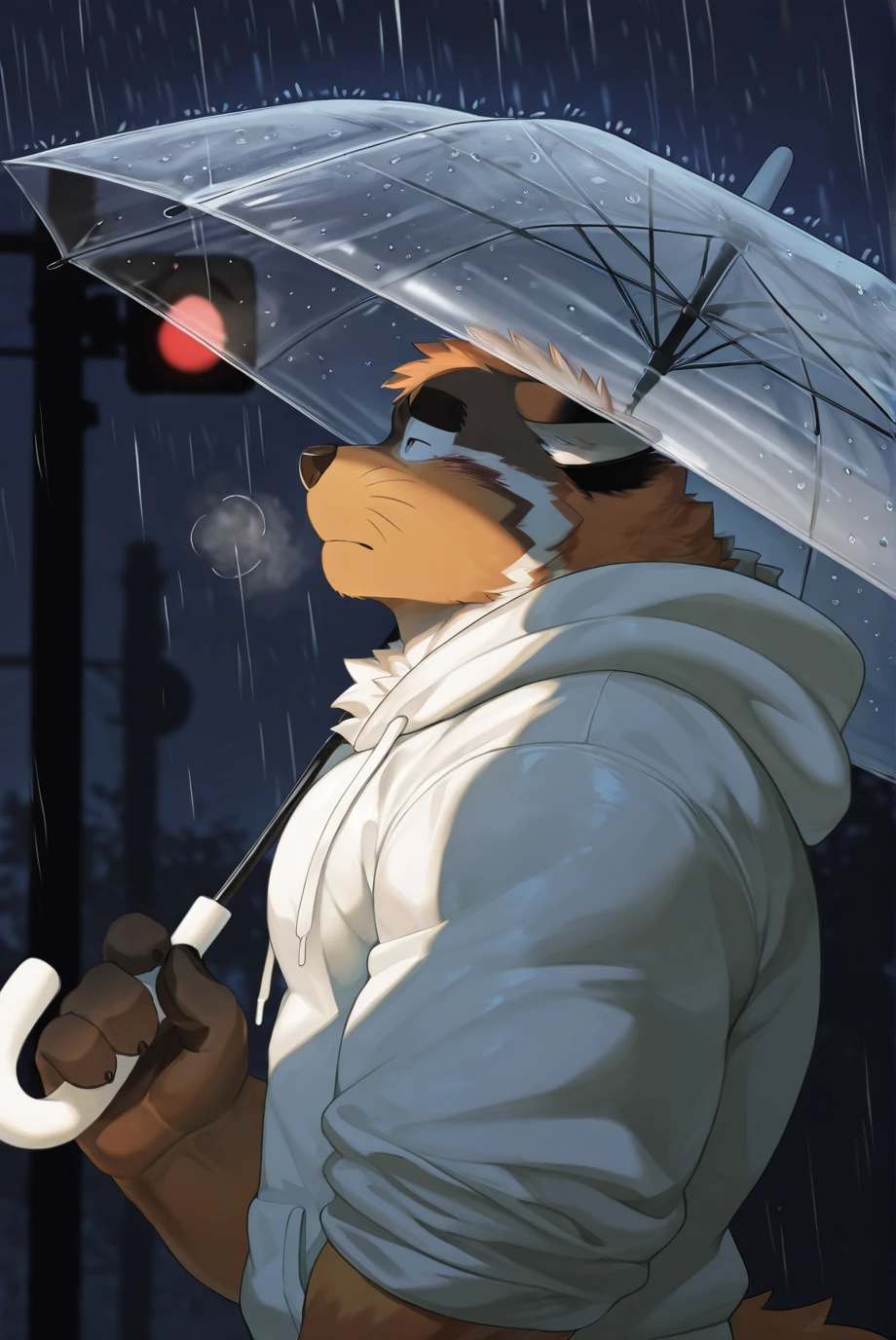 Preview 3