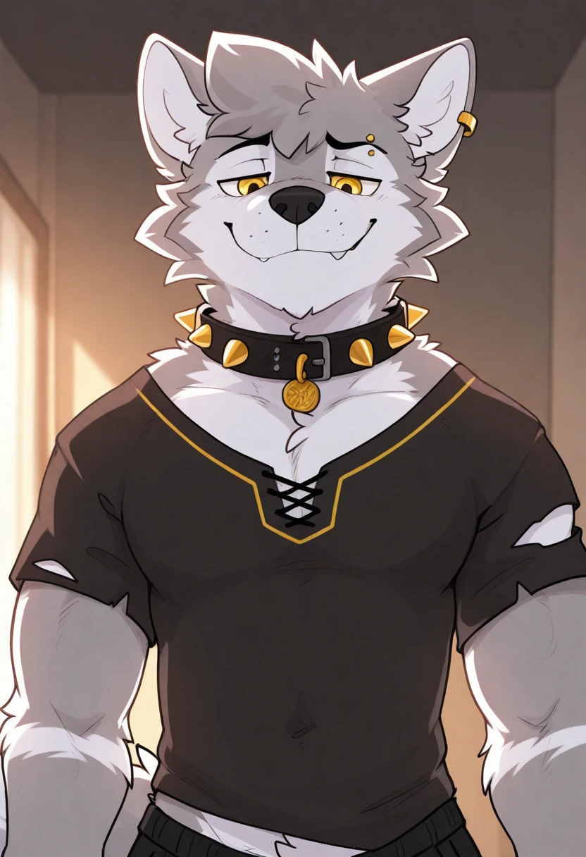 best quality, amazing quality, very aesthetic, absurdres, newest, by pache riggs, male focus, 1boy, solo, upper body, BREAK
furry, anthro, wolf, golden earring, eyebrow piercing, yellow eyes, two-tone fur, fur tufts, tail, torn clothes, bara, bold, golden spiked collar, smug face, <lora:Pache_Riggs_style_Illustrious:1>