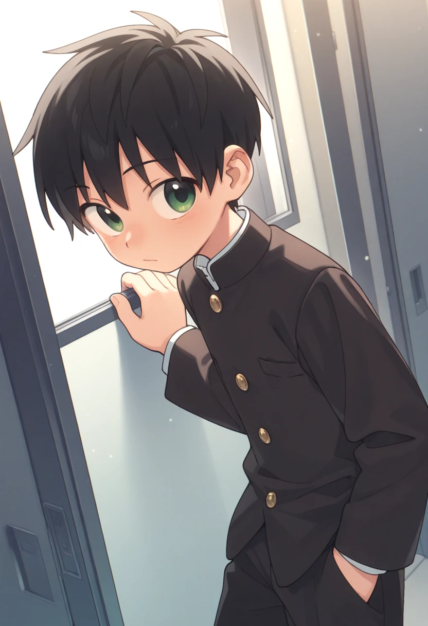 <lora:cutifiedanimecharacterdesign_variant_type_D_IL_v10:0.7>
1boy, type-d, black hair, green eyes