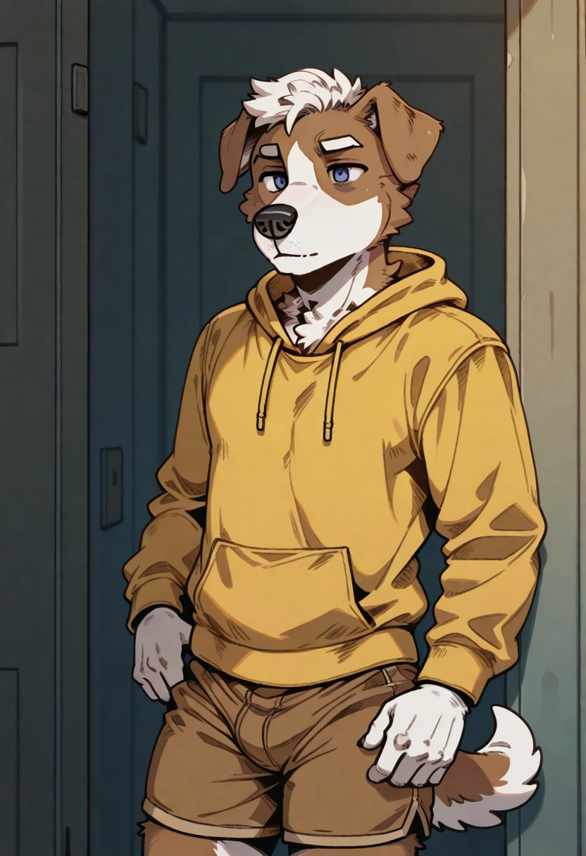 best quality, amazing quality, very aesthetic, absurdres, newest, michi_(oc), by dwc_marshal_arts, BREAK
furry, 1boy, solo, furry male, male focus, furry, animal ears, floppy ears, dog boy, tail, yellow hoodie, brown shorts, <lora:Michi_OC_Illustrious:0.7>, <lora:DWC_Marshal_Arts_style_Illustrious:1>
