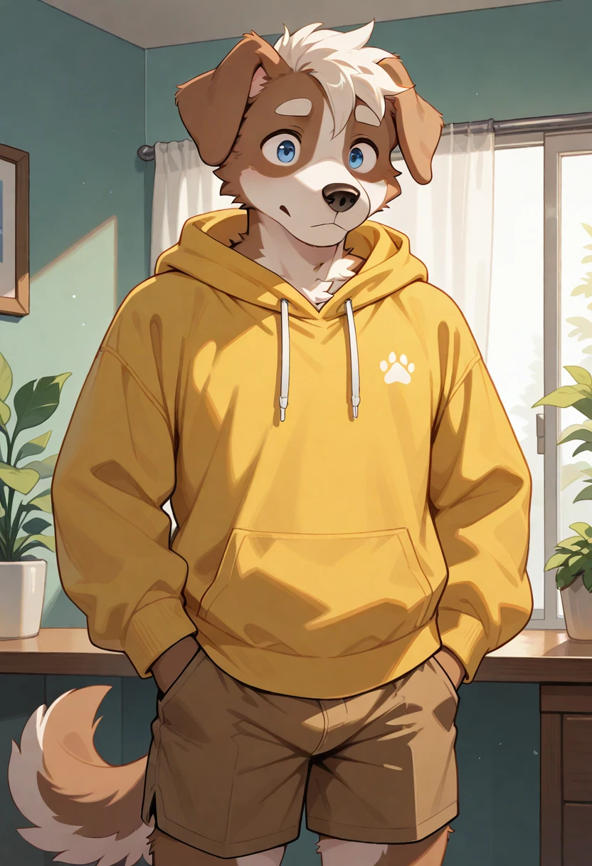 best quality, amazing quality, very aesthetic, absurdres, newest, michi_(oc), room, plants, BREAK
furry, 1boy, solo, furry male, male focus, furry, animal ears, floppy ears, dog boy, yellow hoodie, brown shorts, <lora:Michi_OC_Illustrious:0.7>