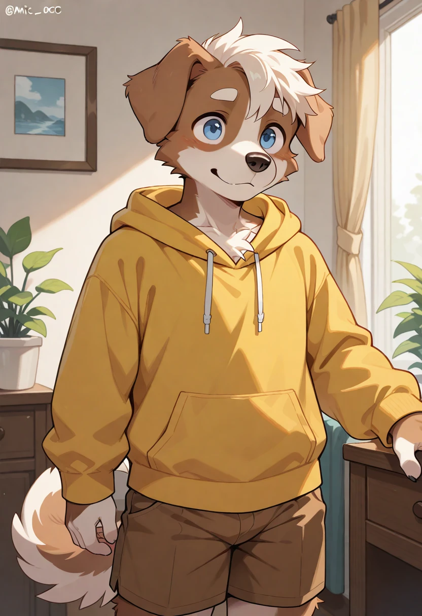 best quality, amazing quality, very aesthetic, absurdres, newest, michi_(oc), room, plants, BREAK
furry, 1boy, solo, furry male, male focus, furry, animal ears, floppy ears, dog boy, yellow hoodie, brown shorts, <lora:Michi_OC_Illustrious:0.7>