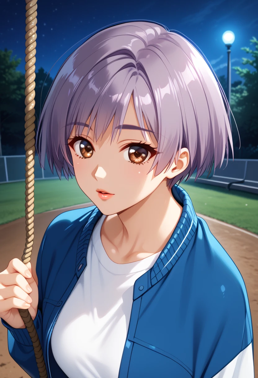 score_9, score_8_up, score_7_up, BREAK <lora:SatomiKo:1> ,saatomi, 1girl, short hair, white t-shirt, blue jacket,jacket on shoulders,,track jacket, looking at viewer, parted lips, upper body,brown eyes,purple hair, night,swing, from above