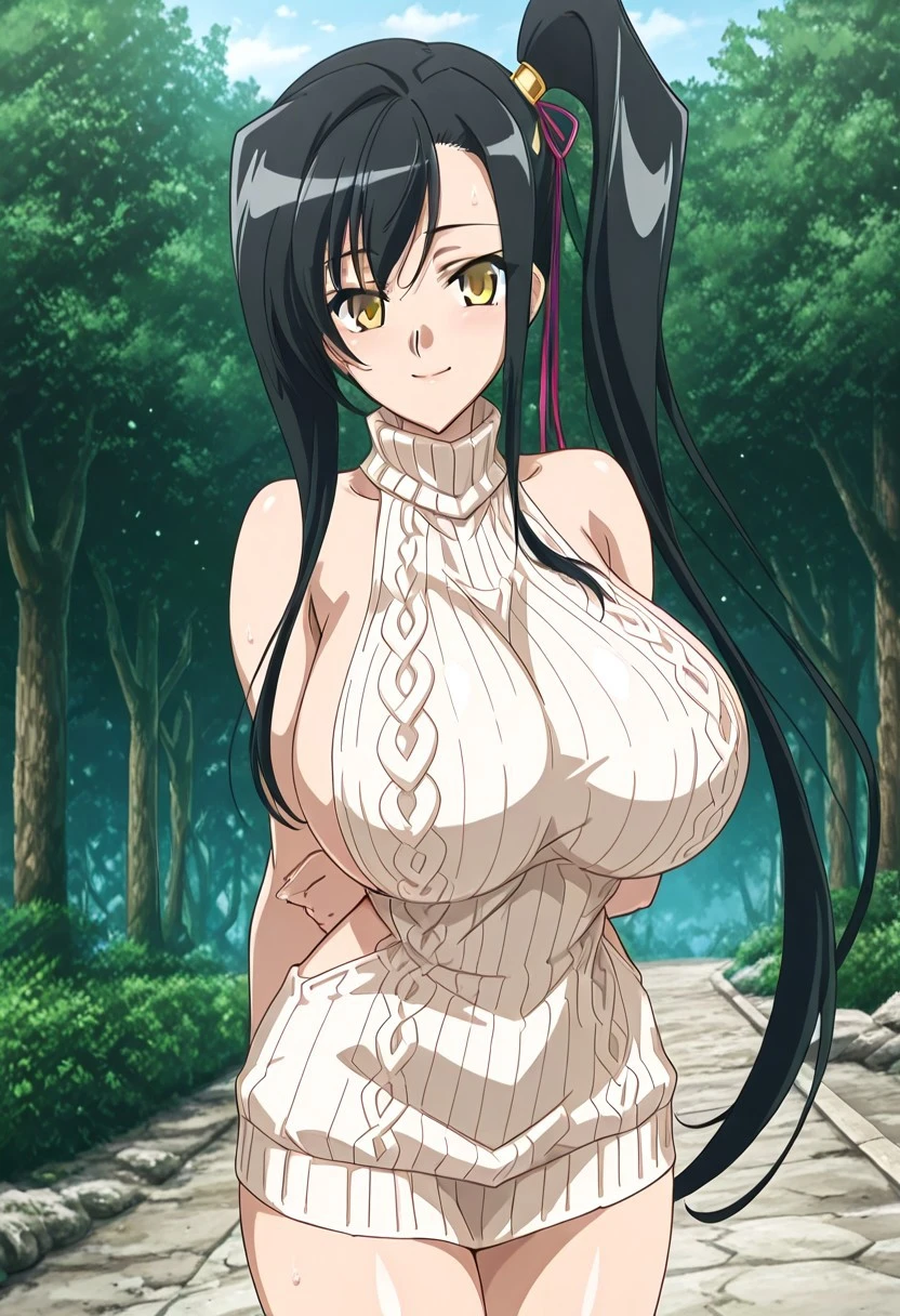 Kanu(Aisha)/関羽（愛紗）（真•恋姫無双) Illustrious XL