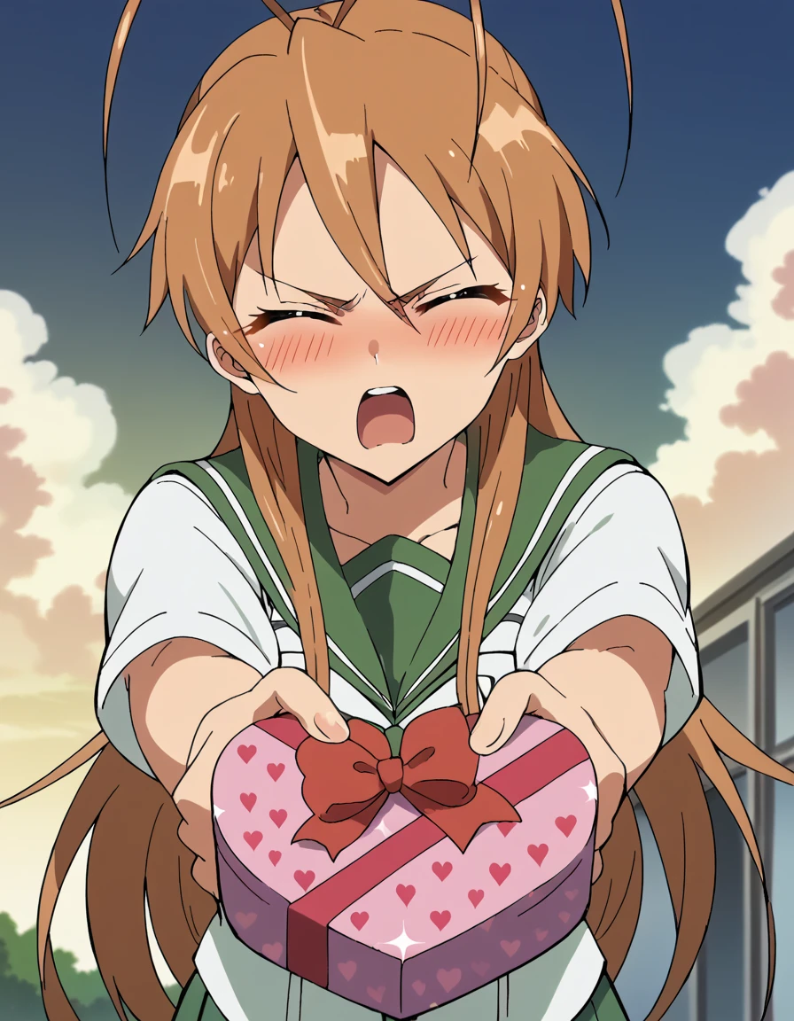 score_9, score_8_up, score_7_up, source_anime, <lora:rei-miyamoto-ponyxl-lora-nochekaiser:1>, rei miyamoto, long hair, brown hair, brown eyes, antenna hair, ponytail, large breasts, anime screencap, <lora:heart-shaped-box-ponyxl-lora-nochekaiser:1>, heart-shaped box, holding, box, gift, valentine, incoming gift, closed eyes, blush, open mouth, outstretched arms, outdoors, night sky, clouds, shouting, classroom, serafuku, school uniform, white shirt, blue sailor collar, blue skirt, pleated skirt, short sleeves, neckerchief, red neckerchief,
