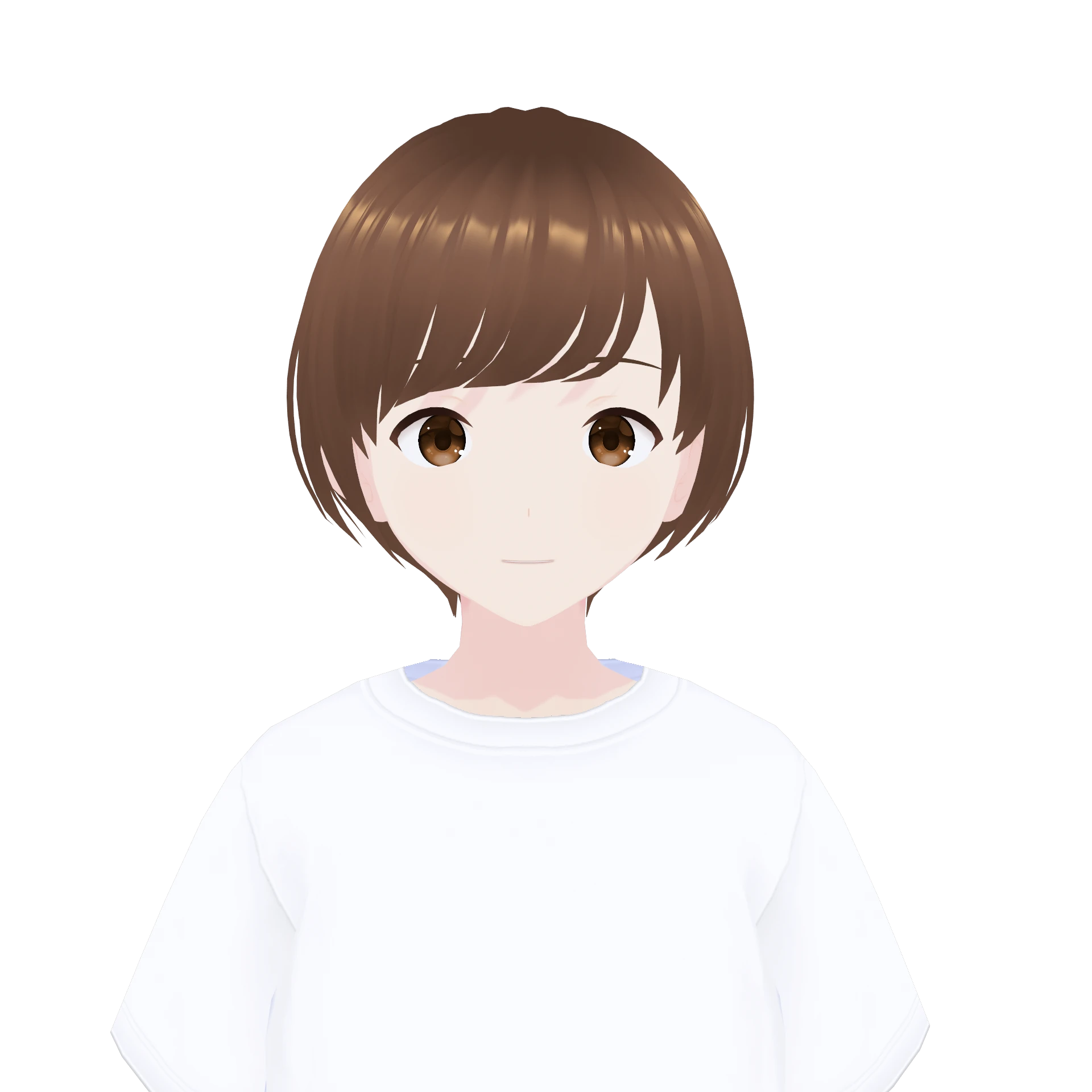 default v1.0