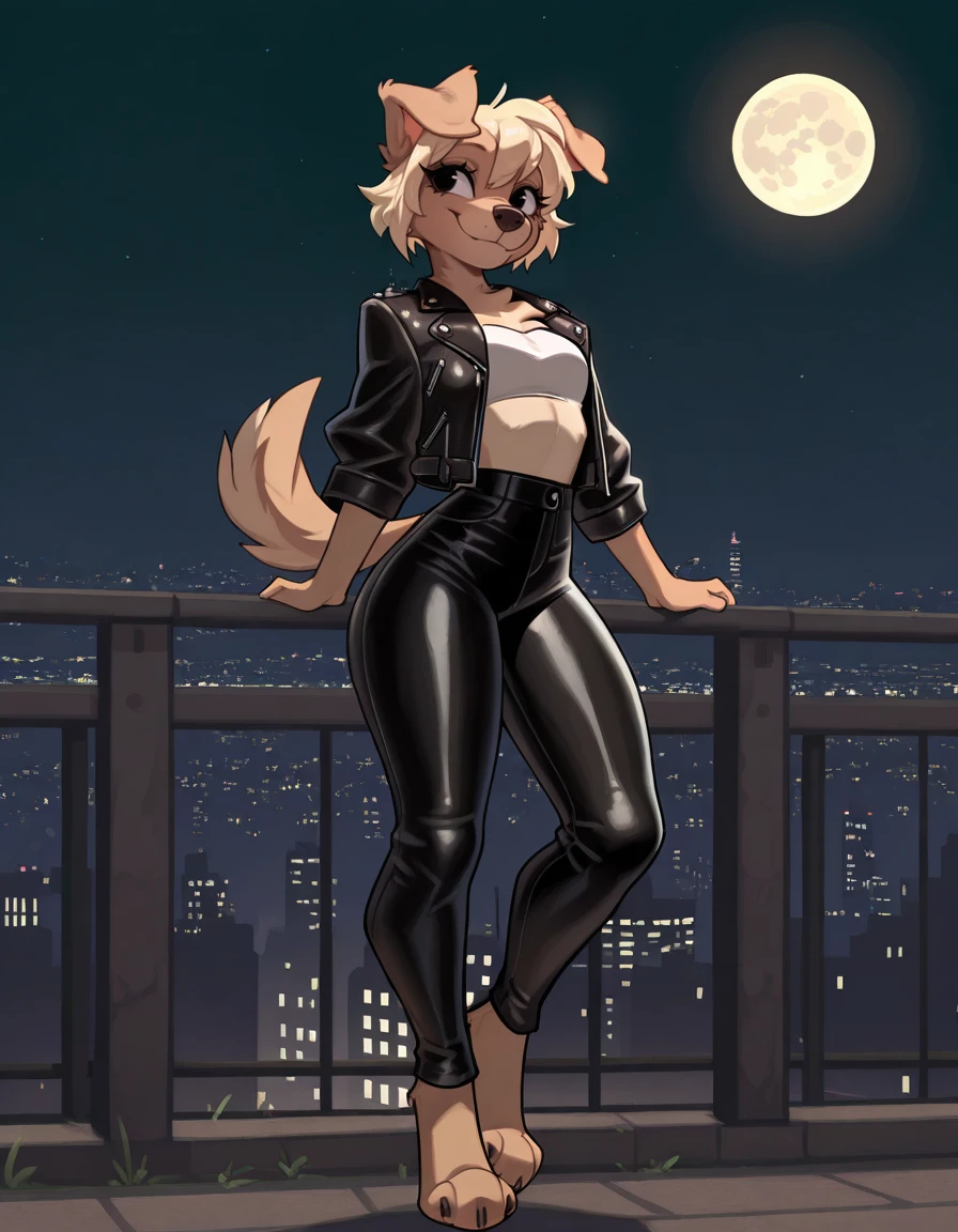 masterpiece, best quality,
outdoors,city,night,night sky,full moon, full body,smile,long eyelashes, leather pants,tube top,leather jacket,
<lora:Bherri_v01_ILXXL:1>,
Bherri,1girl,solo,furry female,dog girl,dog ears,dog tail,short hair,blonde hair,bangs,body fur,brown fur,two-tone fur,animal nose,black eyes,