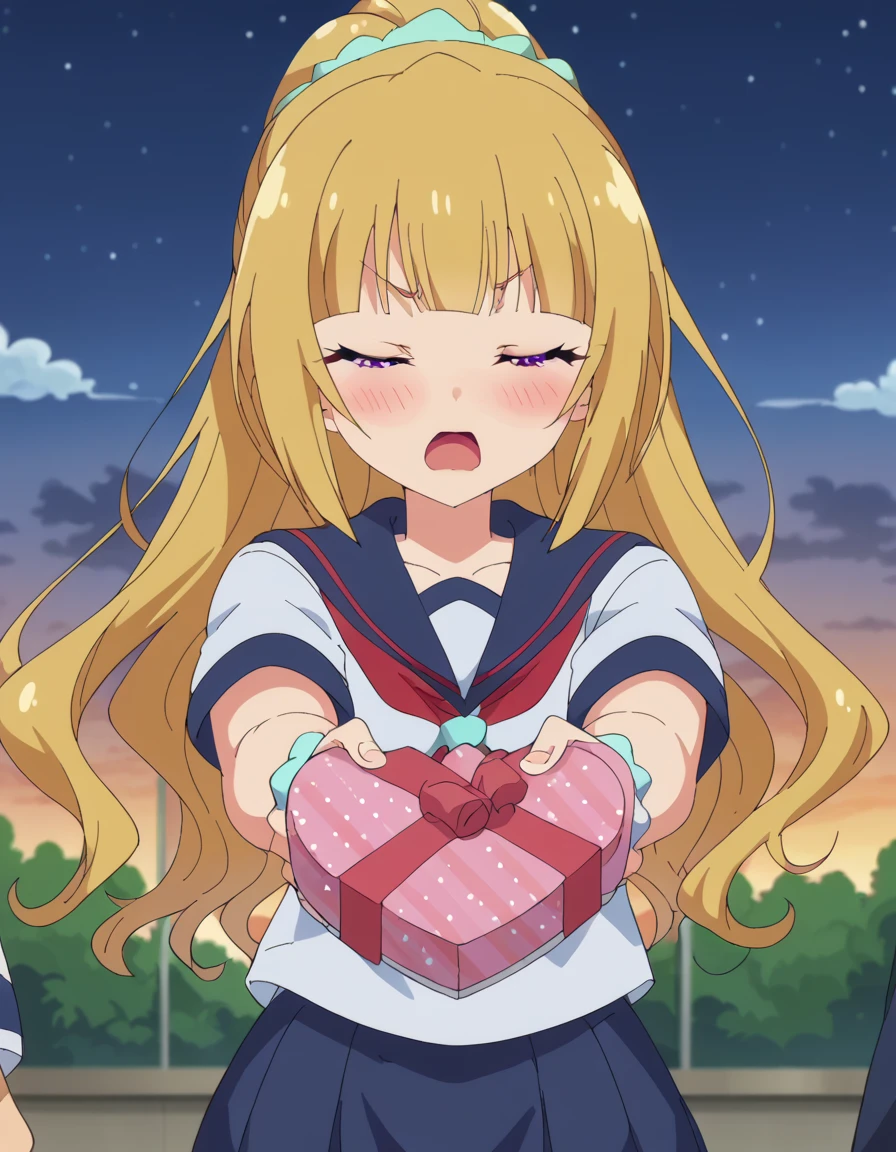 score_9, score_8_up, score_7_up, source_anime, <lora:kei-karuizawa-anime-s2-ponyxl-lora-nochekaiser:1>, kei karuizawa, long hair, bangs, blunt bangs, purple eyes, blonde hair, hair ornament, ponytail, scrunchie, blue scrunchie, medium breasts, anime screencap, <lora:heart-shaped-box-ponyxl-lora-nochekaiser:1>, heart-shaped box, holding, box, gift, valentine, incoming gift, closed eyes, blush, open mouth, outstretched arms, outdoors, night sky, clouds, shouting, classroom, serafuku, school uniform, white shirt, blue sailor collar, blue skirt, pleated skirt, short sleeves, neckerchief, red neckerchief,
