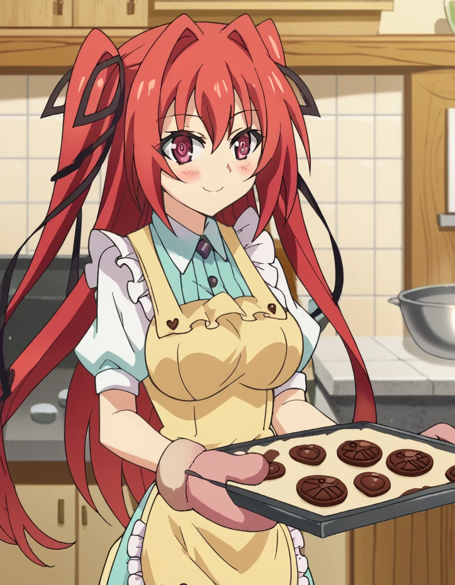 score_9, score_8_up, score_7_up, source_anime, <lora:mio-naruse-s2-ponyxl-lora-nochekaiser:1>, mio naruse, long hair, large breasts, ribbon, twintails, red eyes, hair ribbon, red hair, hair intakes, anime screencap,, <lora:baking-cookies-ponyxl-lora-nochekaiser:1>, baking cookies, looking at viewer, blush, smile, gloves, holding, frills, food, indoors, apron, chocolate, cookie, oven mitts,, , cowboy shot, solo