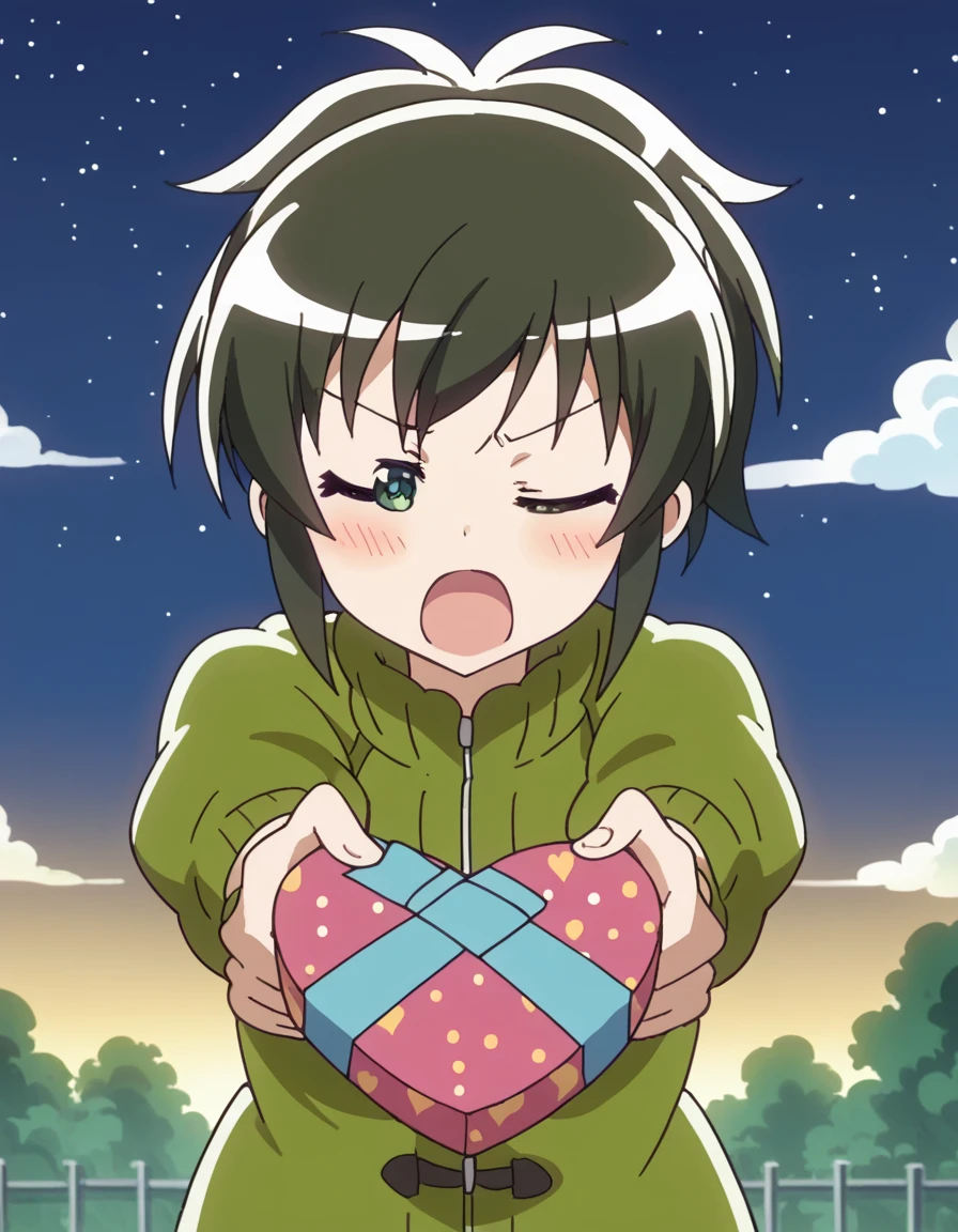 score_9, score_8_up, score_7_up, source_anime, <lora:niko-oono-s1-ponyxl-lora-nochekaiser:1>, niko oono, black hair, ponytail, green eyes, medium breasts, anime screencap,, <lora:heart-shaped-box-ponyxl-lora-nochekaiser:1>, heart-shaped box, holding, box, gift, valentine, incoming gift, closed eyes, blush, open mouth, outstretched arms, outdoors, night sky, clouds, shouting,, , cowboy shot, solo