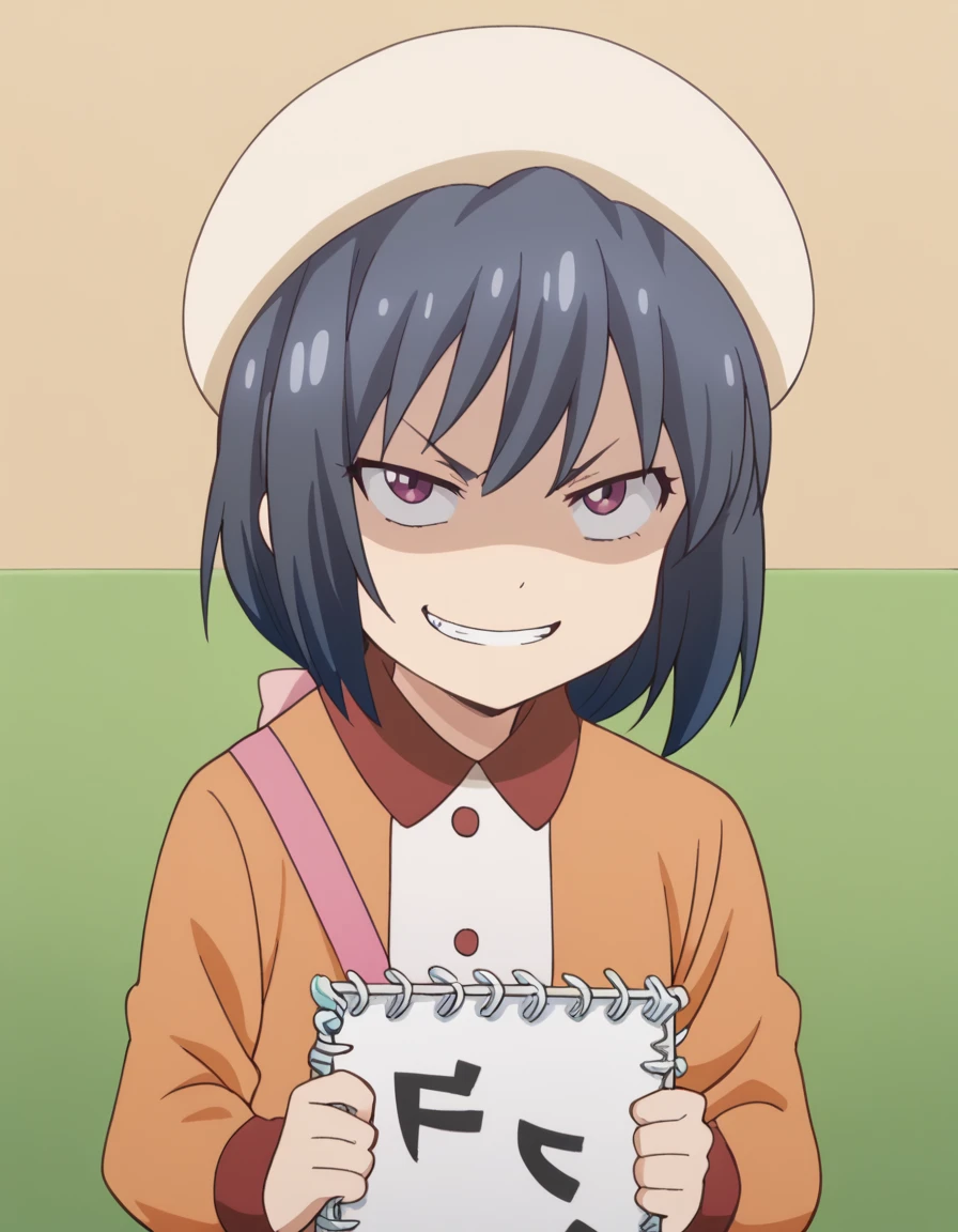 score_9, score_8_up, score_7_up, source_anime, <lora:bijutsu-moeka-s1-ponyxl-lora-nochekaiser:1>, bijutsu moeka, short hair, bangs, black hair, blue hair, purple eyes, anime screencap,, long sleeves, hat, dress, beret,, skating rink, ice, people, winter, fun, , <lora:just-as-planned-ponyxl-lora-nochekaiser:1> just as planned, just as planned (meme), meme, death note (object), parody, evil grin, evil smile, smirk, shaded face,, looking at viewer, solo,, cowboy shot, solo